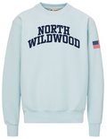 NW Appliqué CREW-ARCTIC