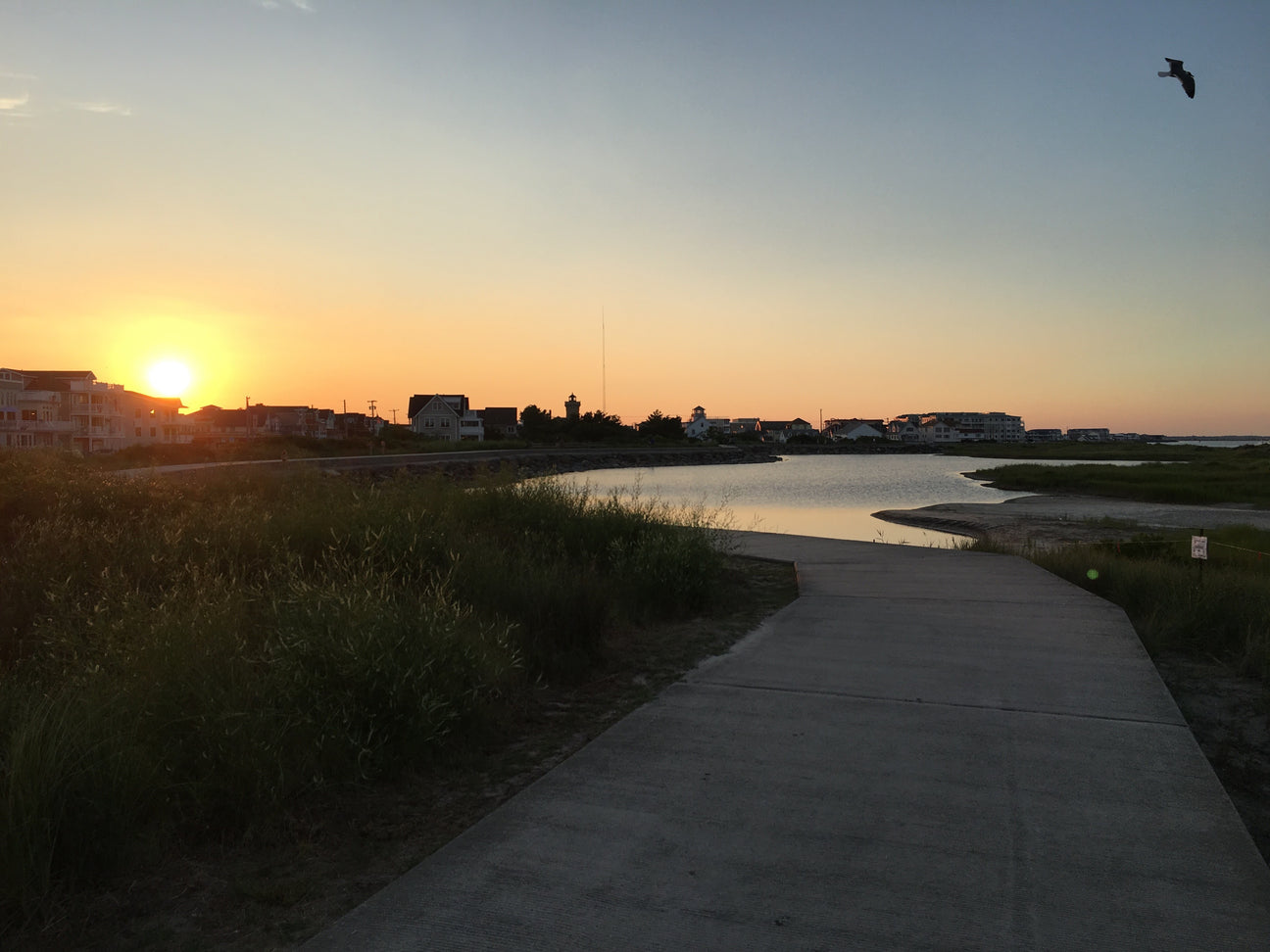 Sand Jamm Life on the 5Mile Wildwoods, New Jersey